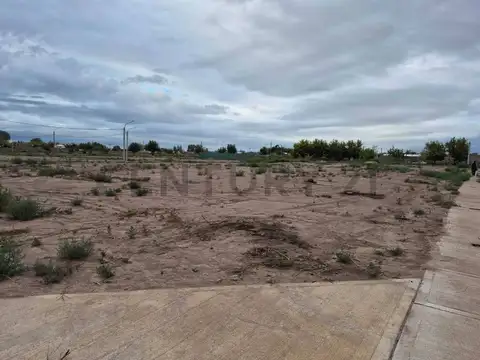 Terreno en Venta 20  mts Fondo
