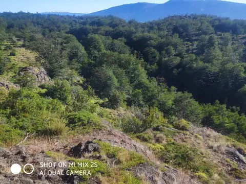 CAMPO - HUT DE INVERSION MULTIPROPOSITO EN CONCORVADO (CHUBUT)