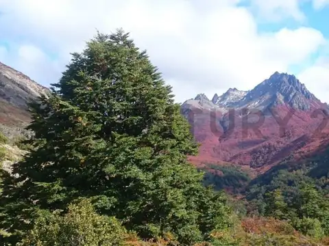 CAMPO - HUT DE INVERSION MULTIPROPOSITO EN CONCORVADO (CHUBUT)