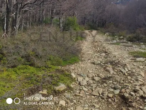 Campo en Venta de 0,19  ha
