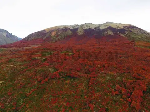 Campo en Venta de 0,19  ha