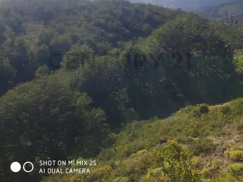 CAMPO - HUT DE INVERSION MULTIPROPOSITO EN CONCORVADO (CHUBUT)