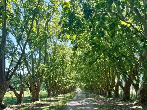 Quinta en Venta en Estancia Las Malvinas, USD 45.700