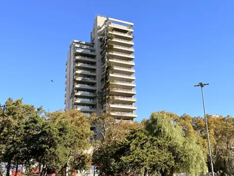 Olive al 900 Rio Arriba.