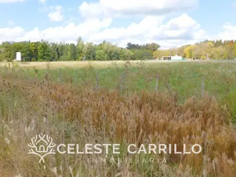 Terreno en Venta 66  mts Fondo