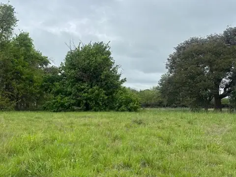 Terreno en Venta de 3100,0 m2