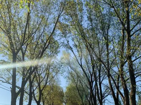 Terreno en Venta, FOT 50