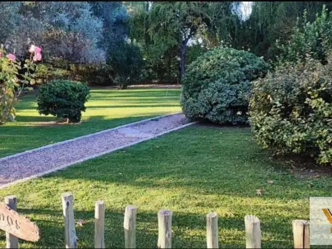 Arroyo y Ruta 143