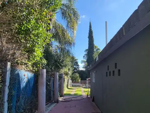 Los Ceibos 100
