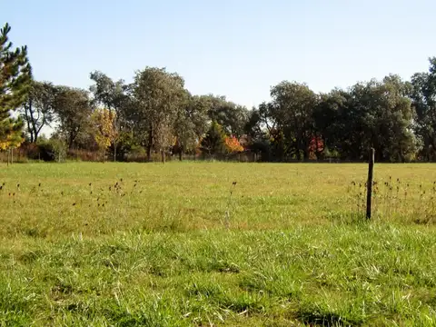 Terreno en Venta de 13600,0 m2