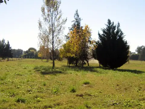 VILLA LIA - 1  HECTAREA  300 -  Barrio Don Segundo s/asflato