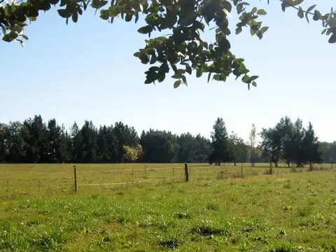 Terreno en Venta 104  mts Fondo