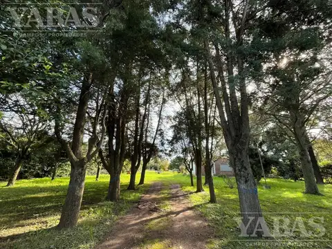 Quinta en Venta en San Pedro, USD 95.000