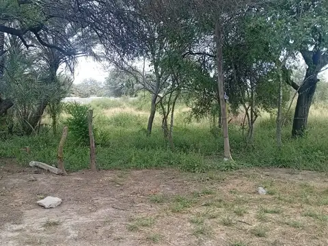 Camino del Medio 100
