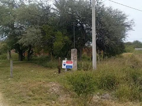 Camino del Medio 100