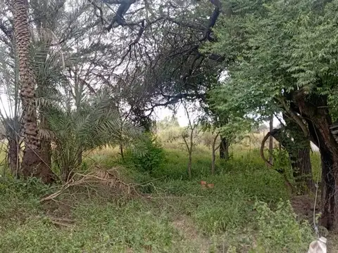 Venta de Terreno sobre Camino del Medio