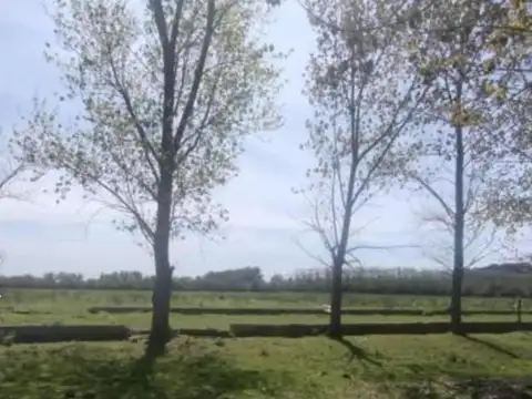 Campo en venta - 50.000Mts2 - Dolores