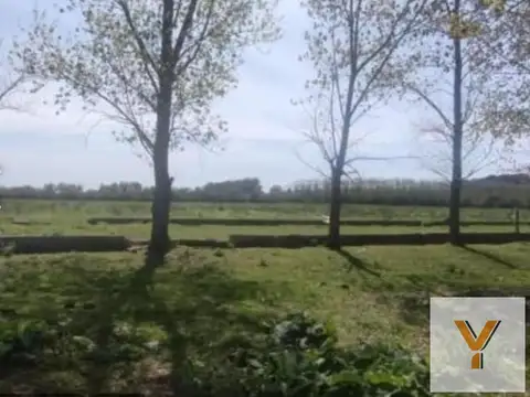 Campo en venta - 50.000Mts2 - Dolores