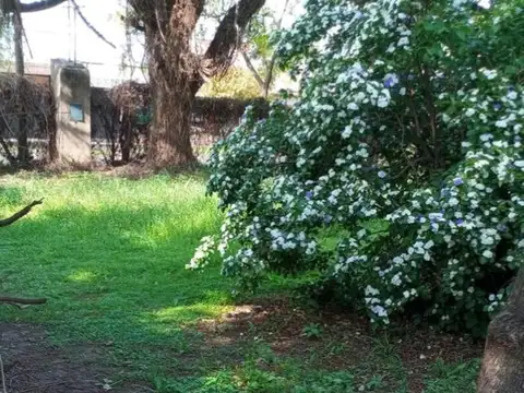 Terreno en Venta 21  mts Fondo