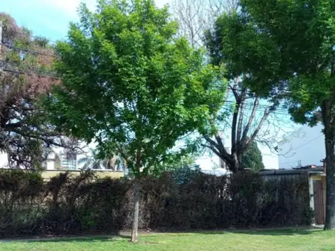 Los Aromos y Catamarca