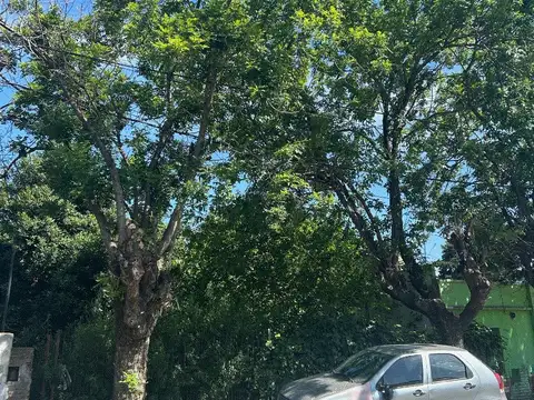 Ex Combatientes de Malvinas 2100