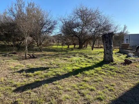 Lote 5 100