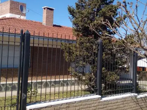 Gdor Olmos 100