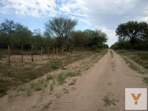 Balde de la Mora