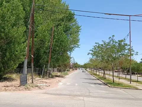 Mariano Moreno 600