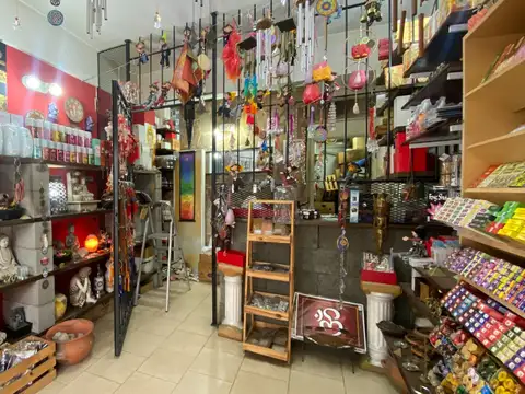 SOBRE AVENIDA DE IMPORTANTE TRANSITO VEHICULAR 