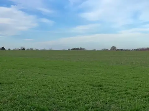Excelente Campo en venta en Baradero