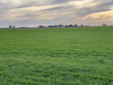 Excelente Campo en venta en Baradero