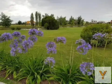 Terreno en Venta de 800,0 m2