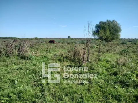 Campo en Venta de 17  ha