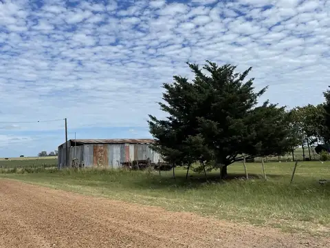 Campo en Venta Agrícola