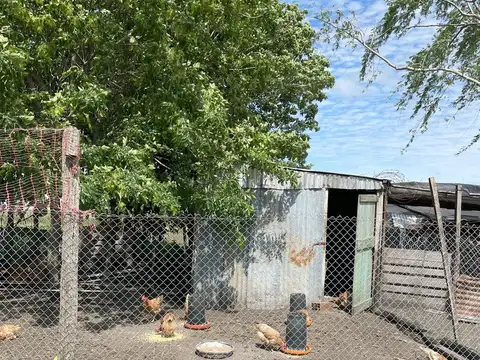 Campo en Venta Agrícola