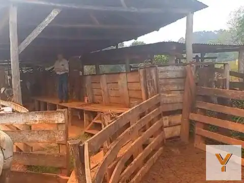 Campo en venta - 2.400 Hectáreas - Misiones