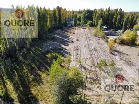 Hectárea en venta, a 200 mtrs de ruta 22, Plottier