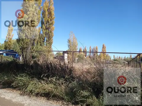 Hectárea en venta 9.600m2 en Plottier