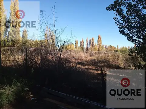 Hectárea en venta, a 200 mtrs de ruta 22, Plottier