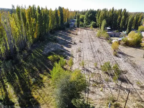 Terreno en Venta en Plottier, USD 120.000