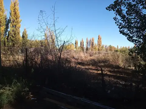 Hectárea en venta, a 200 mtrs de ruta 22, Plottier