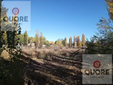 Terreno en Venta de 9800,0 m2