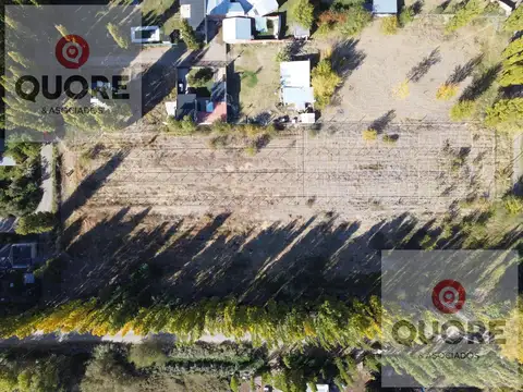 Hectárea en venta 9.600m2 en Plottier