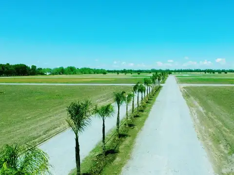 Terreno en Venta 40  mts Frente