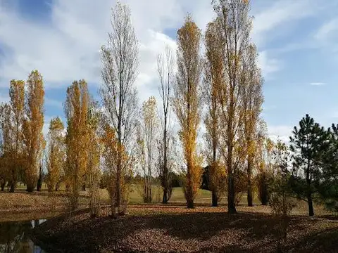 Club de Campo Las Cañuelas
