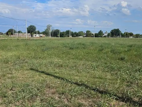 Avellaneda