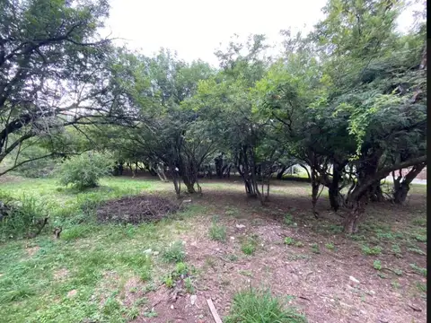 Terreno en Venta de 1000,0 m2