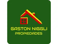Gaston Niggli Propiedades
