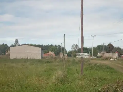 c.16